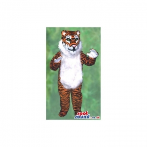 SPOTSOUND UK Mascot of the day : Orange And White Tiger Animal Plush Mascot With A Hairy Belly. Discover our #spotsound #uk #mascots and all other Tiger mascotson our webiste : https://bit.ly/3sKy4o1816. #mascot #costume #party #marketing #events #mascots https://www.spotsound.co.uk/tiger-mascots/4222-orange-and-white-tiger-animal-plush-mascot-with-a-hairy-belly.html
